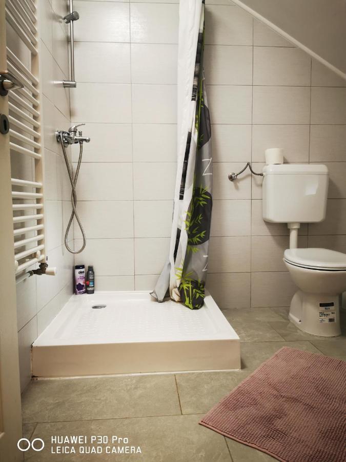 אוטוצאץ Vila Julija - Apartment & Rooms מראה חיצוני תמונה